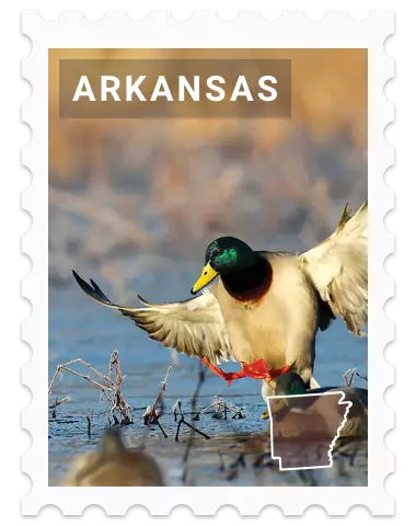 Arkansas