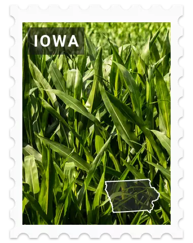 Iowa